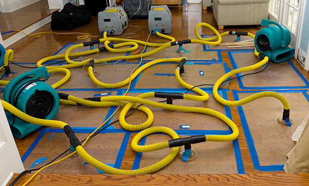 Professional Water Extraction technician working in Canton, MN